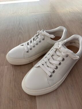 Clean White Low-Top Sneakers